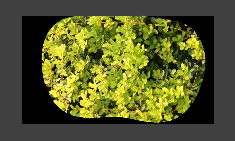 green6